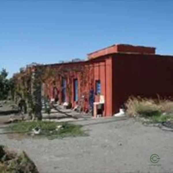 Spot image