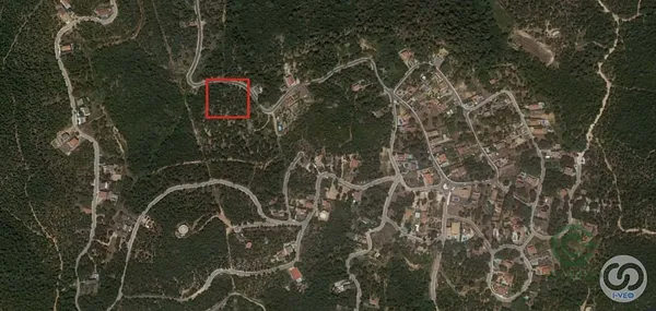 Spot image