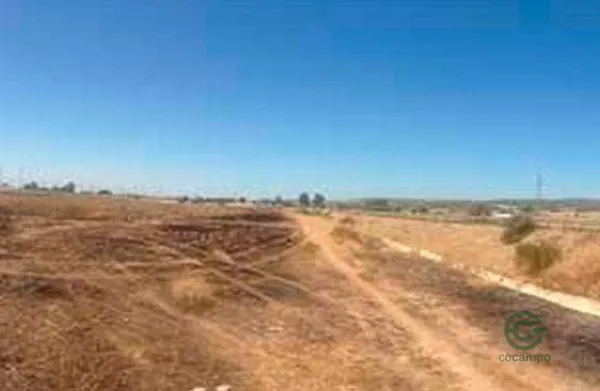Spot image