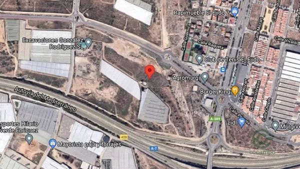 Spot image
