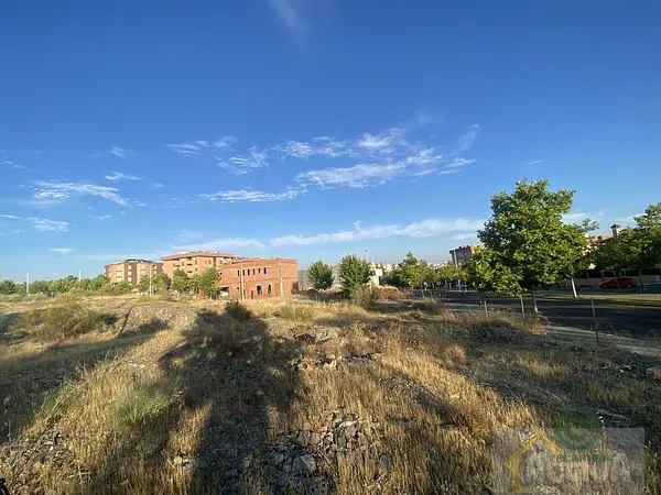 Spot image