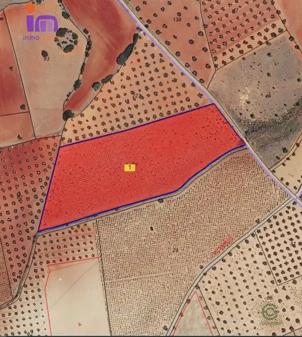 Spot image