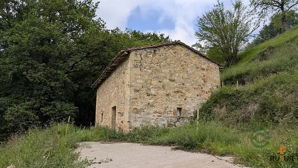 Spot image
