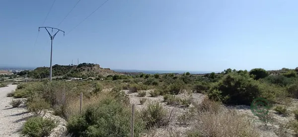 Spot image