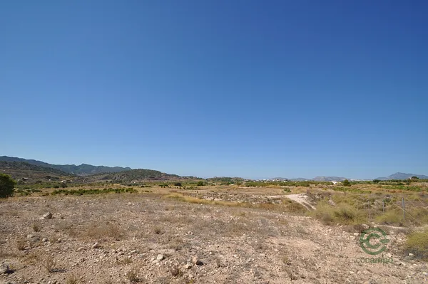 Spot image