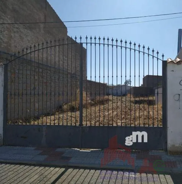 Spot image
