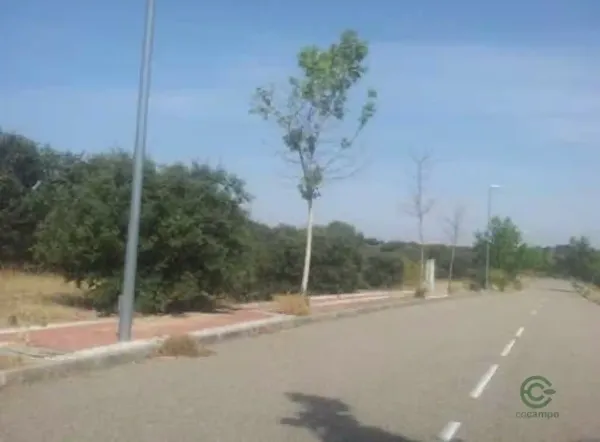 Spot image