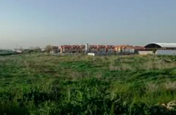 Spot image
