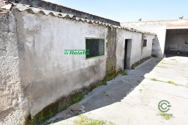 Spot image