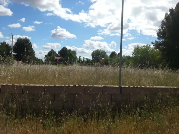 Spot image