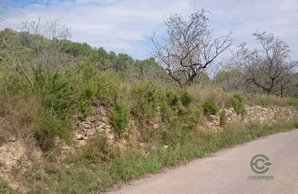Spot image