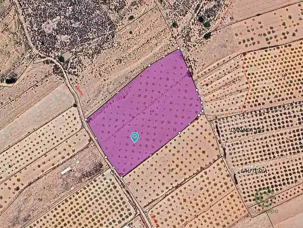 Spot image