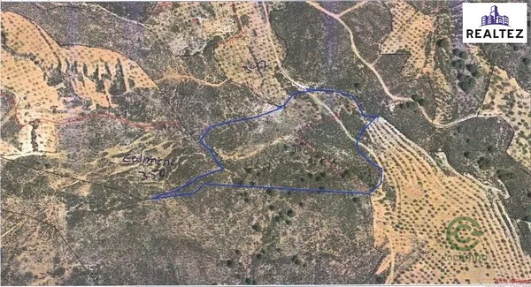 Spot image