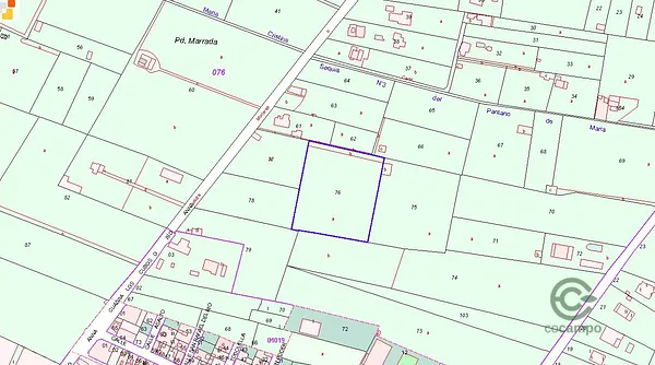 Spot image
