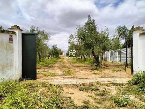Spot image