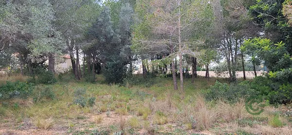 Spot image