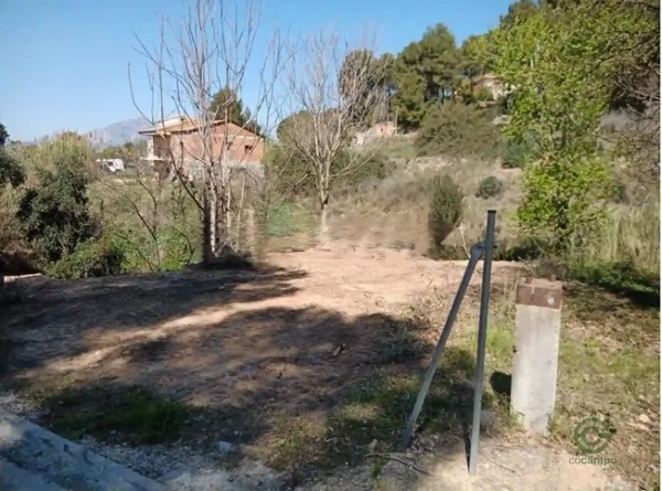 Spot image
