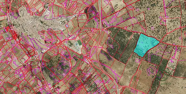 Spot image