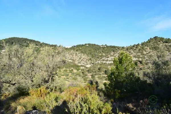 Spot image