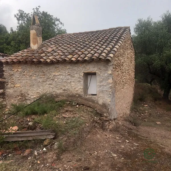Spot image