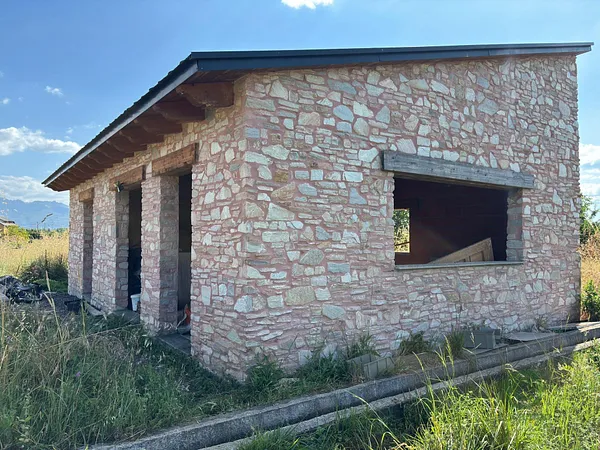 Spot image