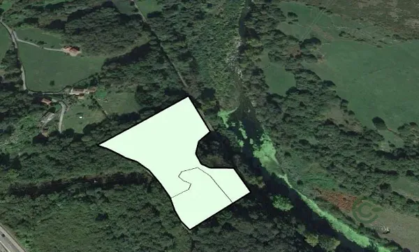 Spot image