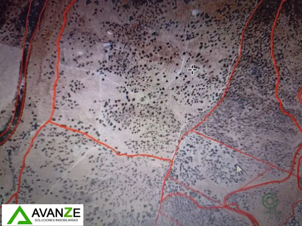 Spot image