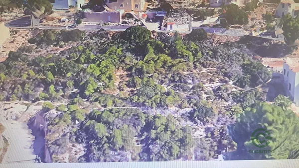 Spot image