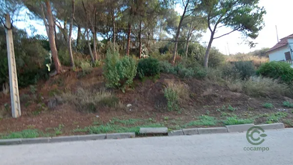 Spot image