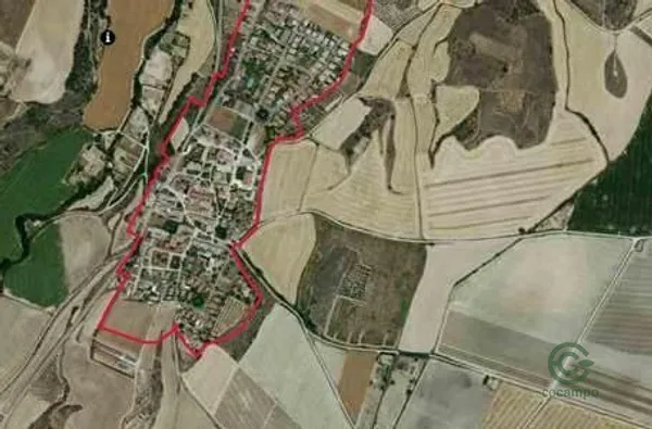 Spot image