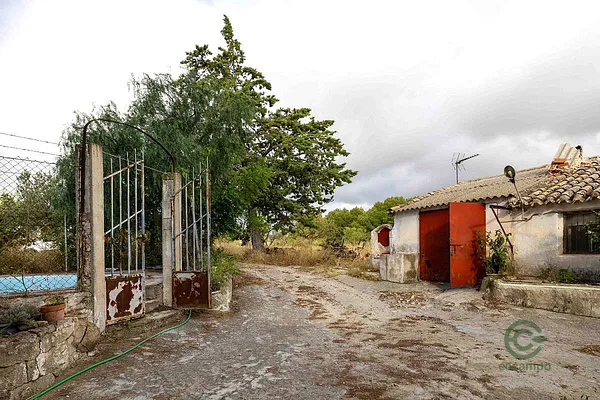 Spot image