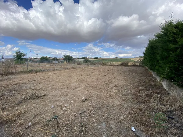 Spot image