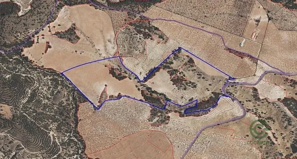 Spot image