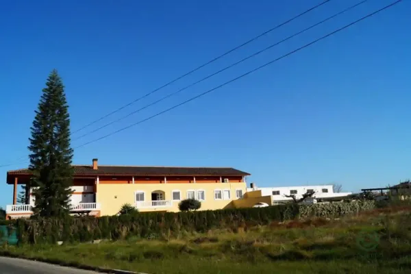 Spot image