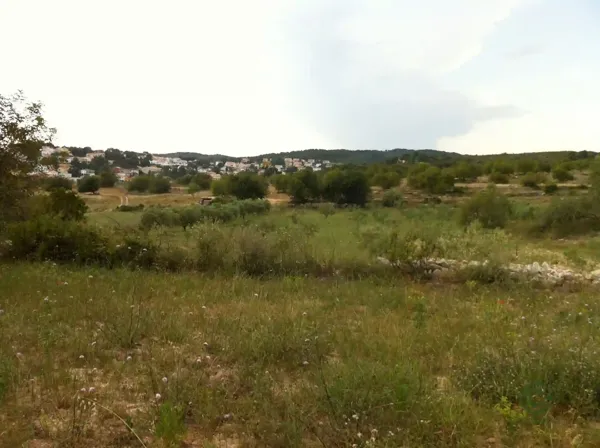 Spot image