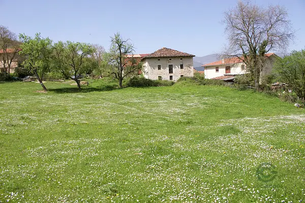Spot image