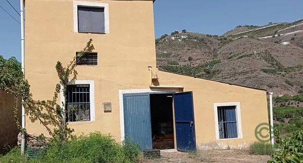 Spot image