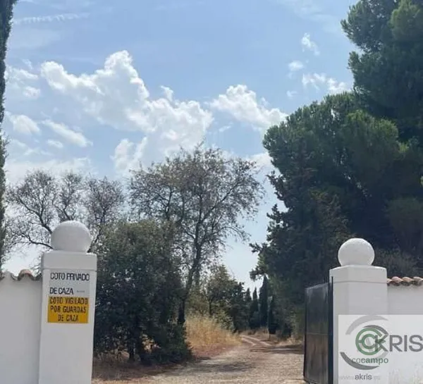 Spot image