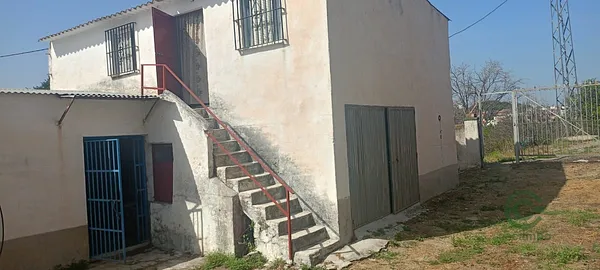 Spot image