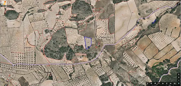Spot image
