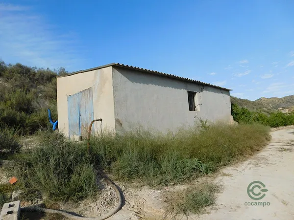 Spot image