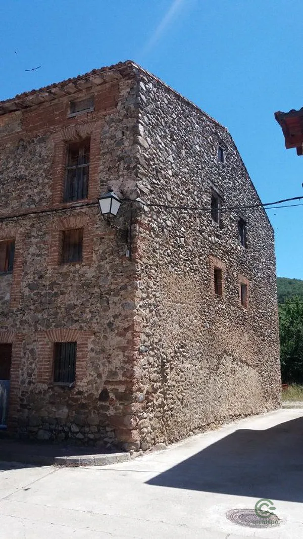 Spot image