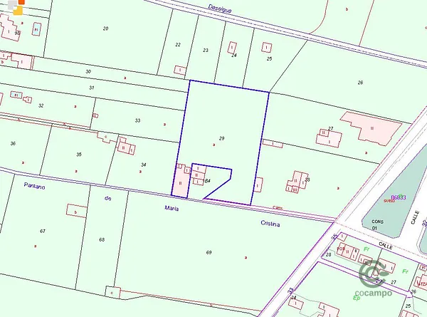 Spot image