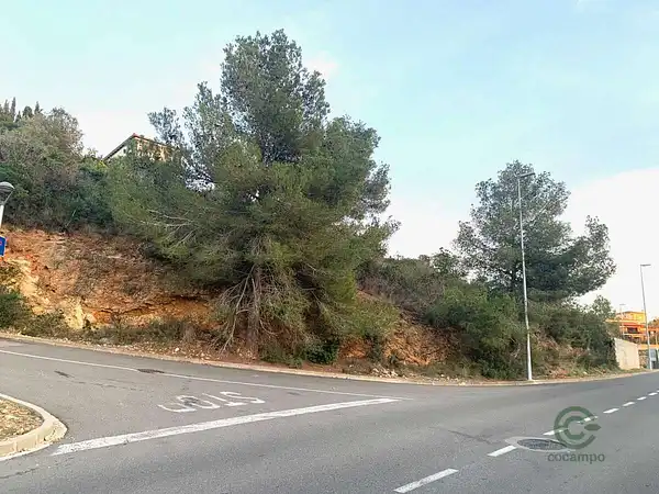 Spot image