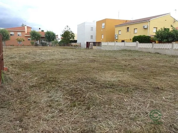 Spot image