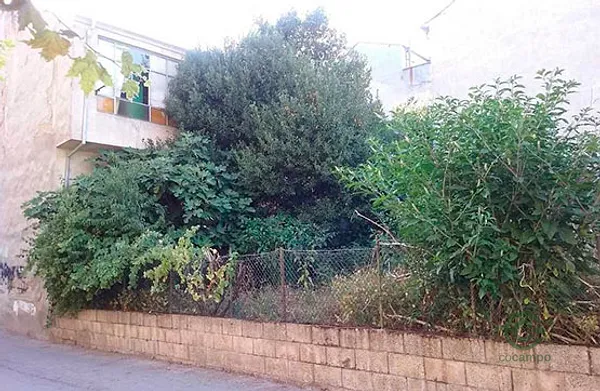 Spot image