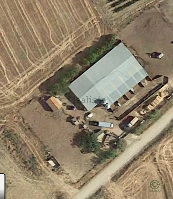 Spot image