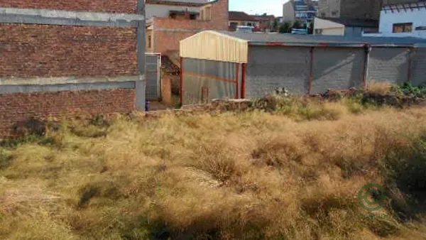 Spot image