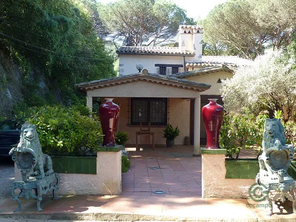 Spot image