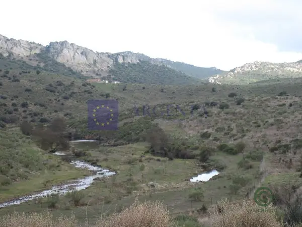 Spot image